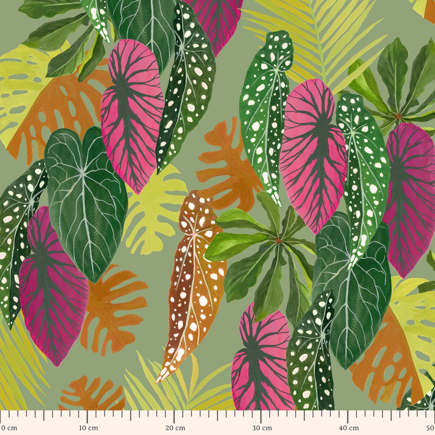 folhagem tropical