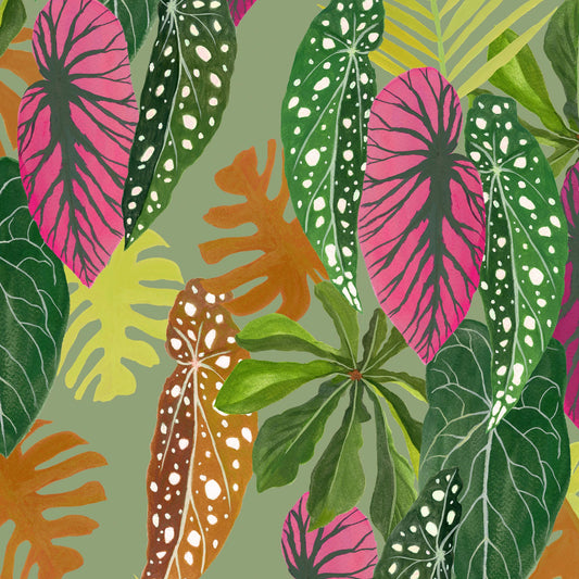 folhagem tropical