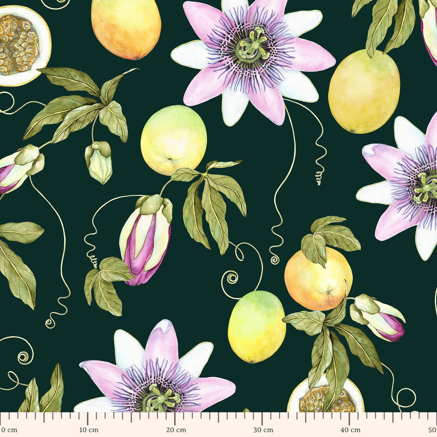encanto da passiflora