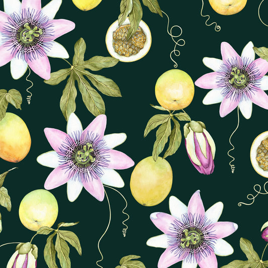 encanto da passiflora