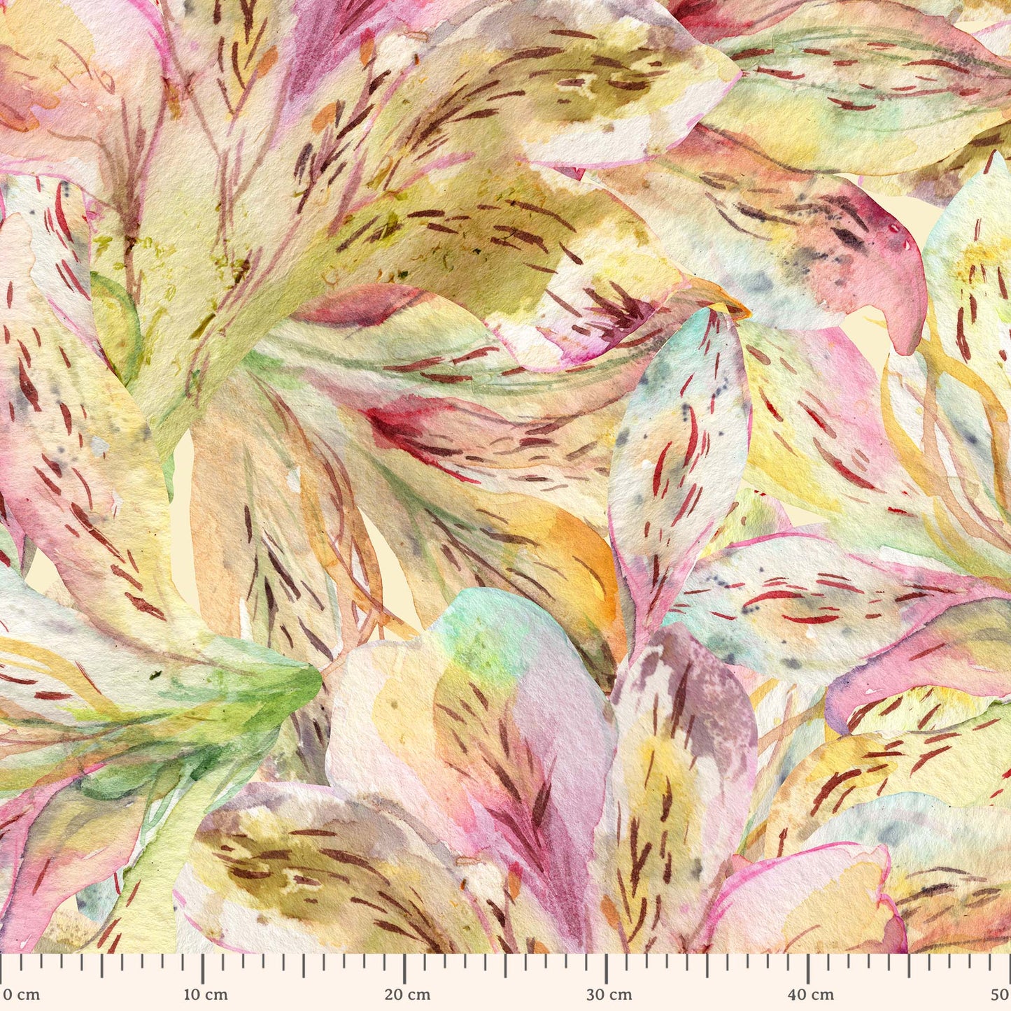 dança das astromélias