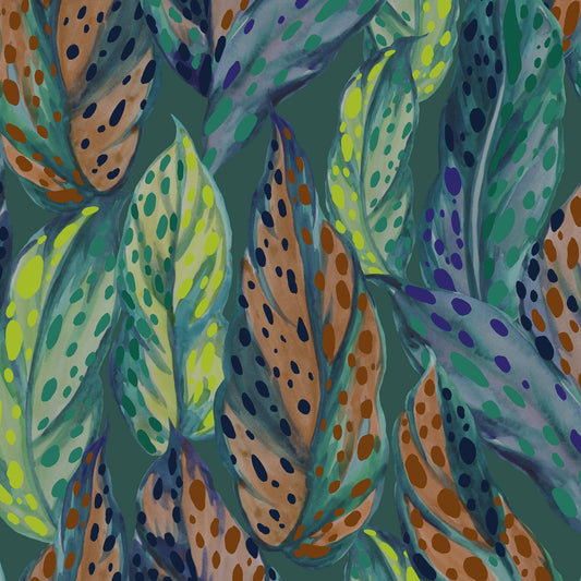leaves