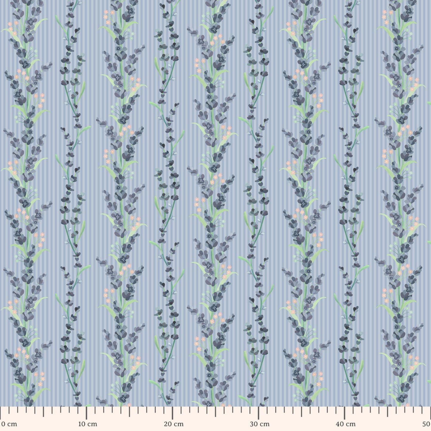 lavanda listrada