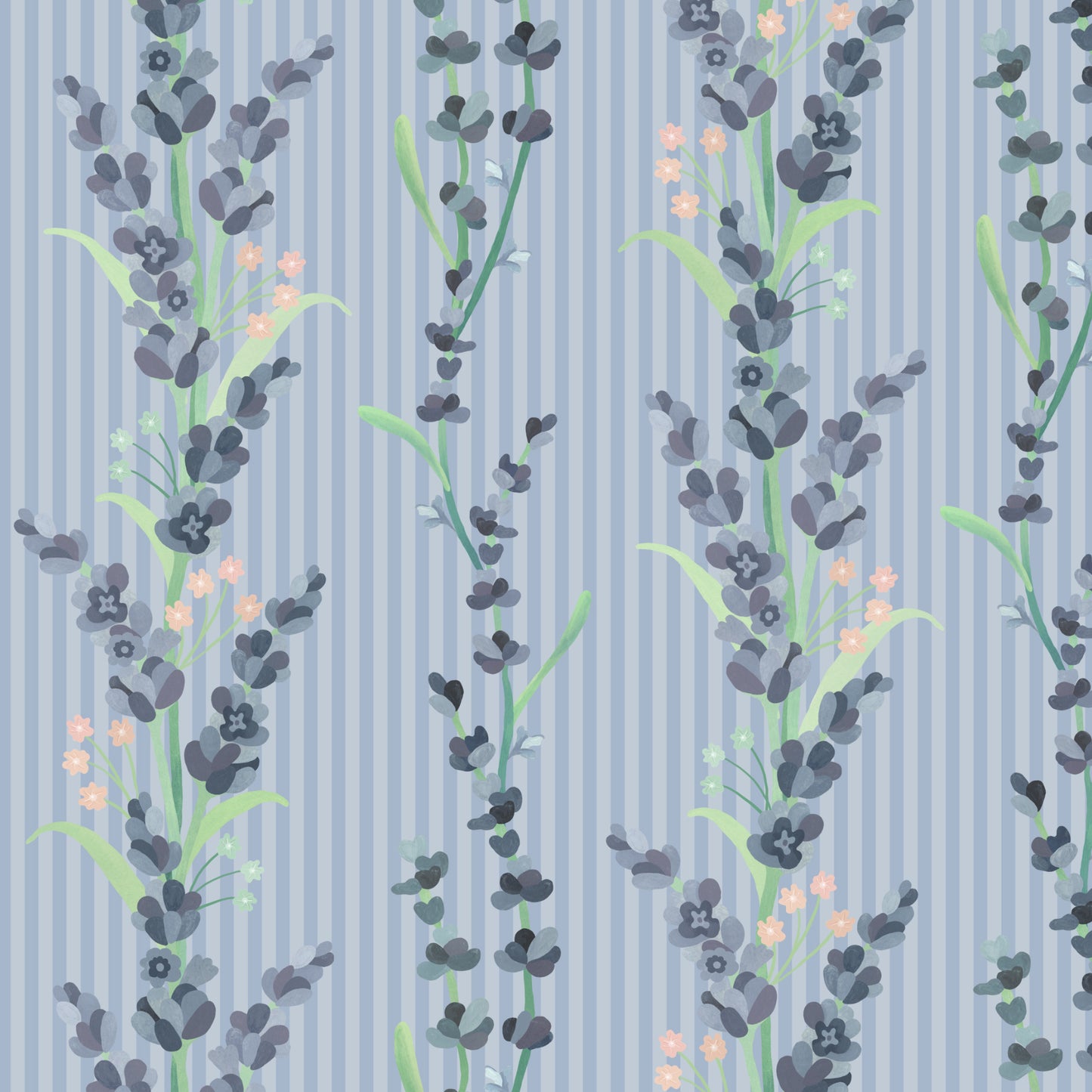 lavanda listrada