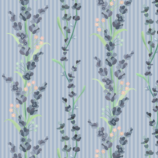 lavanda listrada