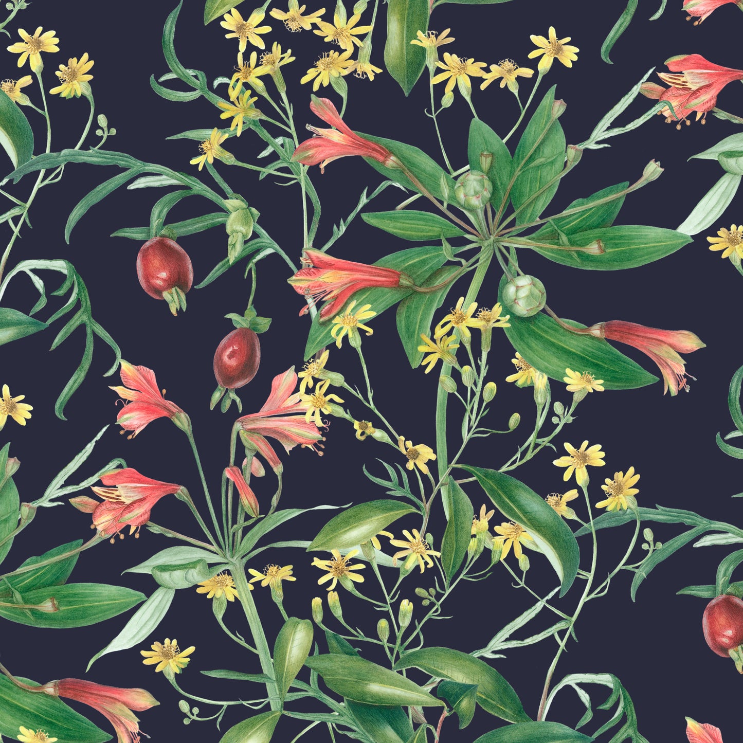 alstroemeria