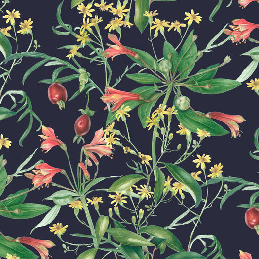 alstroemeria