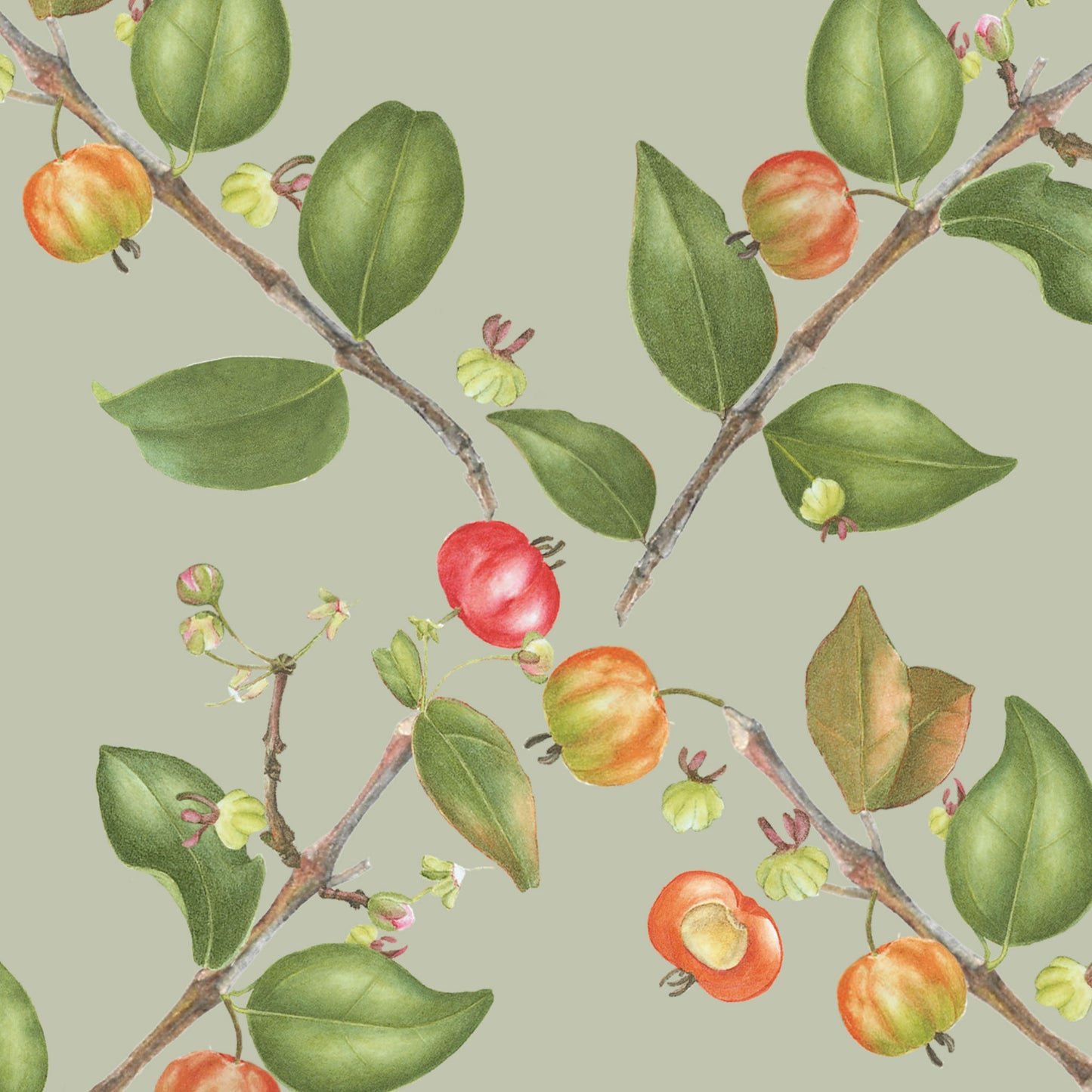 eugenia uniflora