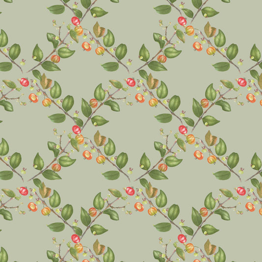 eugenia uniflora